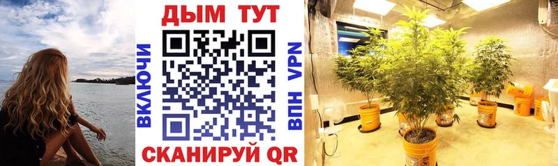 Где найти наркотики Егорьевск MDMA  Cocaine  Амфетамин  Бошки Шишки  Гашиш  СК 